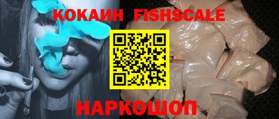 крисы Гай