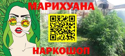 крисы Гай