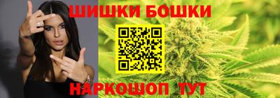крисы Гай