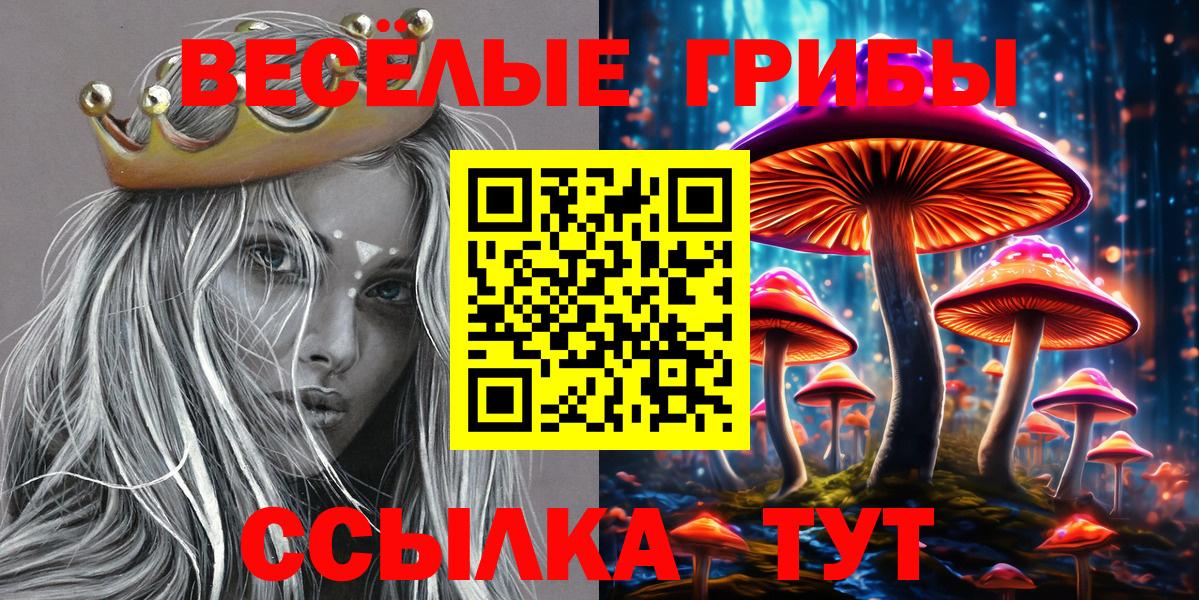 Галлюциногенные грибы мухоморы  Вход с VPN  Гулькевичи 